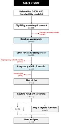 The impact of prolonged, maternal iodine exposure in early gestation on neonatal thyroid function